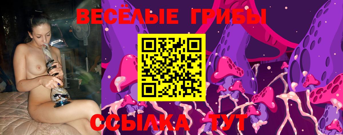 Псилоцибиновые грибы прущие грибы  Псилоцибиновые грибы Cubensis  Балашиха  Вход с VPN 